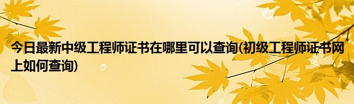 今日最新中级工程师证书在哪里可以查询(初级工程师证书网上如何查询)