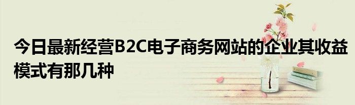 今日最新经营B2C电子商务网站的企业其收益模式有那几种