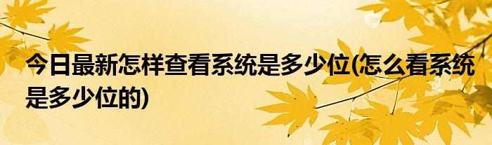 今日最新怎样查看系统是多少位(怎么看系统是多少位的)