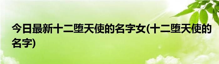 今日最新十二堕天使的名字女(十二堕天使的名字)