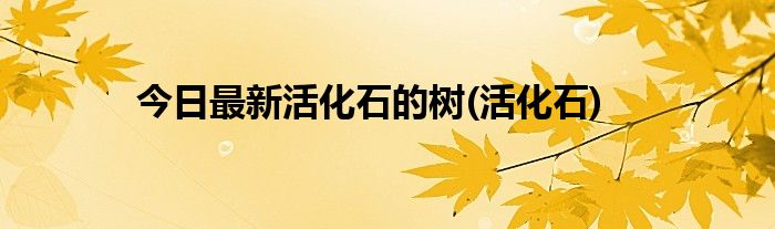今日最新活化石的树(活化石)