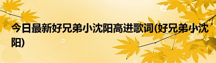 今日最新好兄弟小沈阳高进歌词(好兄弟小沈阳)