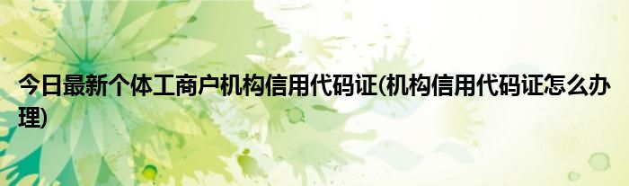 今日最新个体工商户机构信用代码证(机构信用代码证怎么办理)