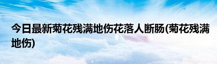 今日最新菊花残满地伤花落人断肠(菊花残满地伤)