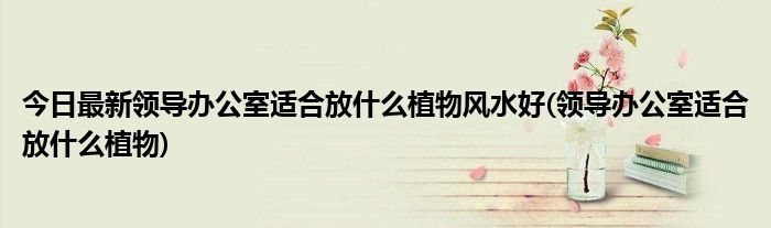 今日最新领导办公室适合放什么植物风水好(领导办公室适合放什么植物)