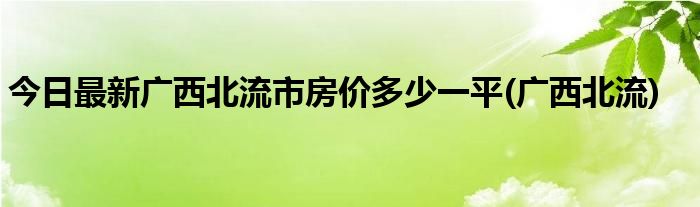 今日最新广西北流市房价多少一平(广西北流)