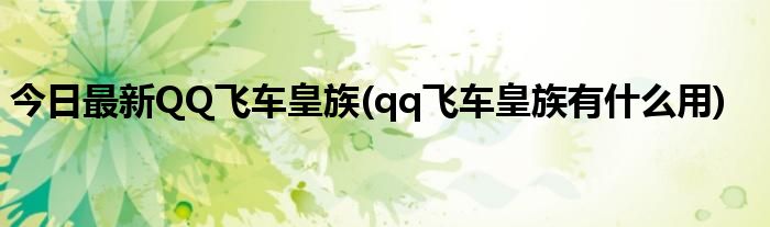 今日最新QQ飞车皇族(qq飞车皇族有什么用)