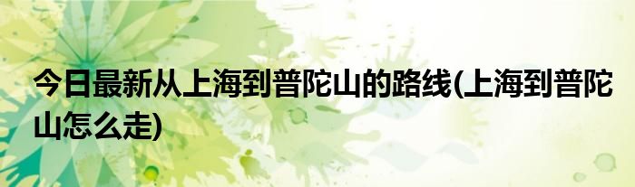 今日最新从上海到普陀山的路线(上海到普陀山怎么走)