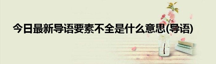 今日最新导语要素不全是什么意思(导语)