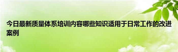 今日最新质量体系培训内容哪些知识适用于日常工作的改进案例