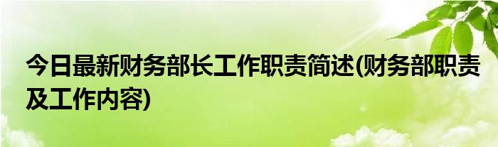 今日最新财务部长工作职责简述(财务部职责及工作内容)