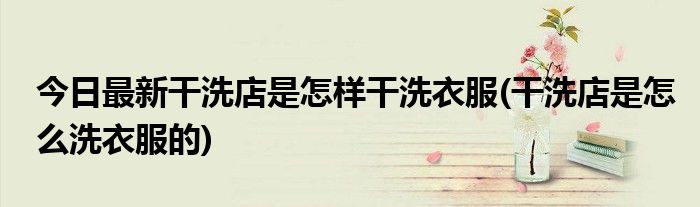 今日最新干洗店是怎样干洗衣服(干洗店是怎么洗衣服的)