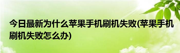 今日最新为什么苹果手机刷机失败(苹果手机刷机失败怎么办)