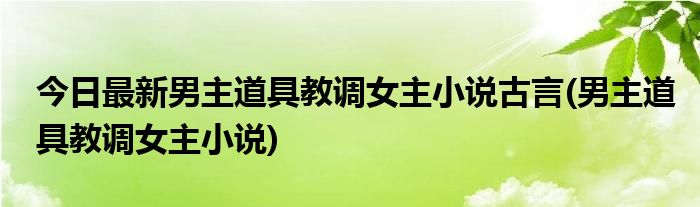 今日最新男主道具教调女主小说古言(男主道具教调女主小说)