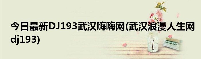 今日最新DJ193武汉嗨嗨网(武汉浪漫人生网dj193)