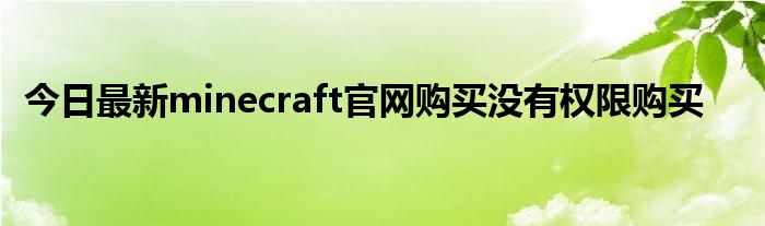 今日最新minecraft官网购买没有权限购买