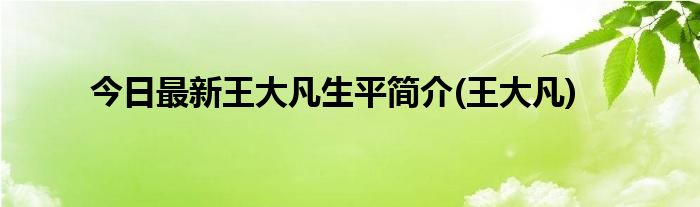 今日最新王大凡生平简介(王大凡)
