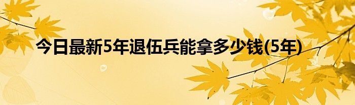 今日最新5年退伍兵能拿多少钱(5年)