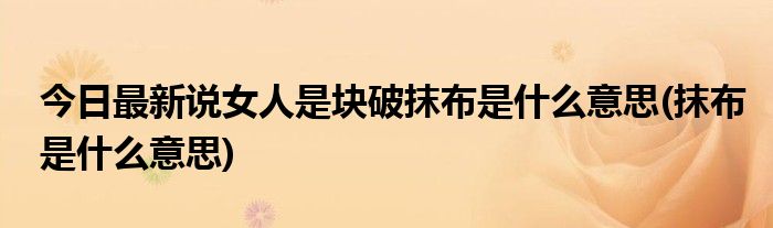今日最新说女人是块破抹布是什么意思(抹布是什么意思)