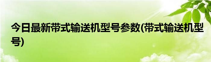 今日最新带式输送机型号参数(带式输送机型号)