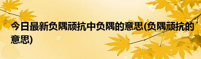 今日最新负隅顽抗中负隅的意思(负隅顽抗的意思)