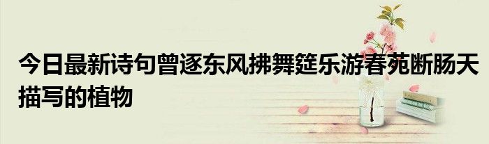 今日最新诗句曾逐东风拂舞筵乐游春苑断肠天描写的植物