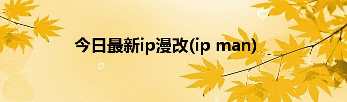 今日最新ip漫改(ip man)