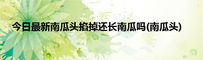 今日最新南瓜头掐掉还长南瓜吗(南瓜头)