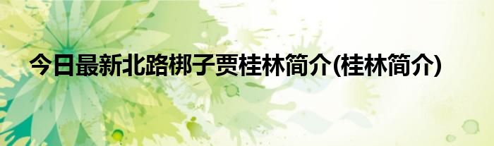 今日最新北路梆子贾桂林简介(桂林简介)