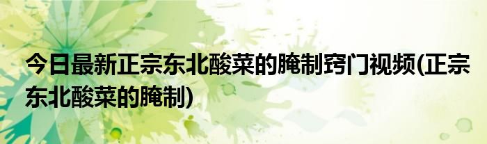 今日最新正宗东北酸菜的腌制窍门视频(正宗东北酸菜的腌制)