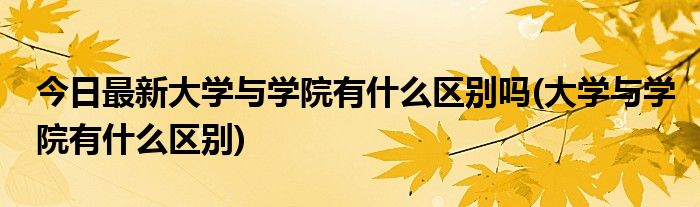 今日最新大学与学院有什么区别吗(大学与学院有什么区别)