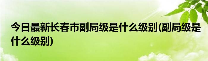 今日最新长春市副局级是什么级别(副局级是什么级别)