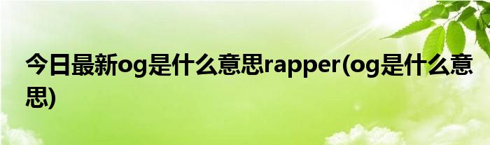 今日最新og是什么意思rapper(og是什么意思)