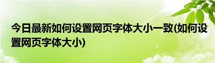 今日最新如何设置网页字体大小一致(如何设置网页字体大小)