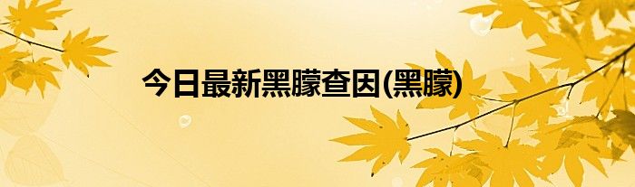 今日最新黑朦查因(黑朦)