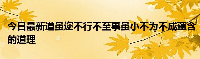今日最新道虽迩不行不至事虽小不为不成蕴含的道理