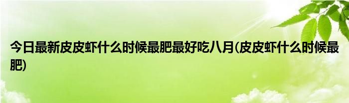 今日最新皮皮虾什么时候最肥最好吃八月(皮皮虾什么时候最肥)