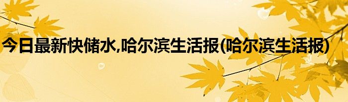 今日最新快储水,哈尔滨生活报(哈尔滨生活报)