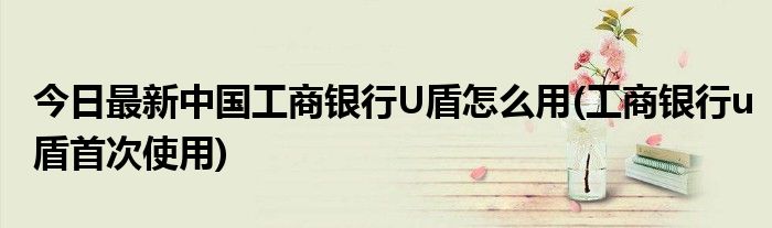 今日最新中国工商银行U盾怎么用(工商银行u盾首次使用)