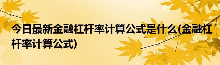 今日最新金融杠杆率计算公式是什么(金融杠杆率计算公式)