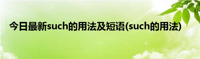 今日最新such的用法及短语(such的用法)