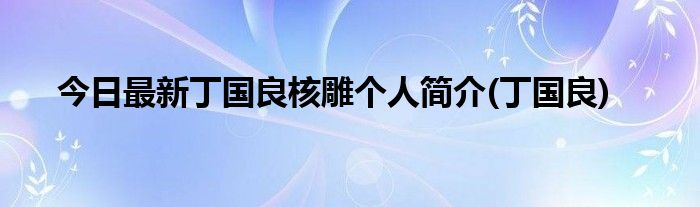 今日最新丁国良核雕个人简介(丁国良)