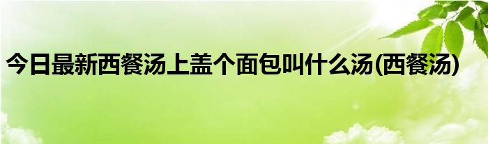 今日最新西餐汤上盖个面包叫什么汤(西餐汤)