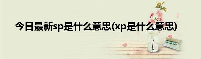 今日最新sp是什么意思(xp是什么意思)