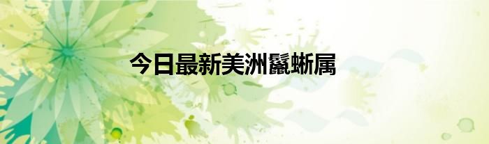 今日最新美洲鬣蜥属