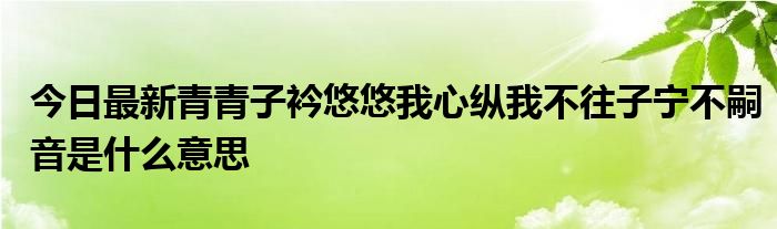 今日最新青青子衿悠悠我心纵我不往子宁不嗣音是什么意思