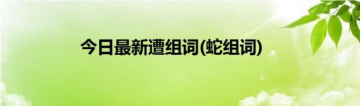今日最新遭组词(蛇组词)
