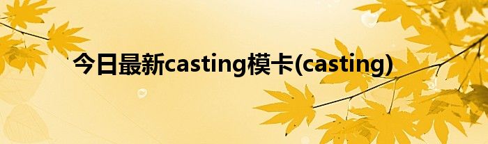今日最新casting模卡(casting)