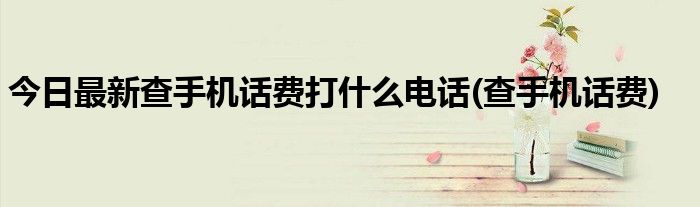 今日最新查手机话费打什么电话(查手机话费)