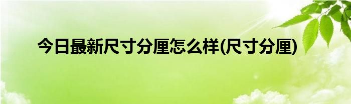 今日最新尺寸分厘怎么样(尺寸分厘)